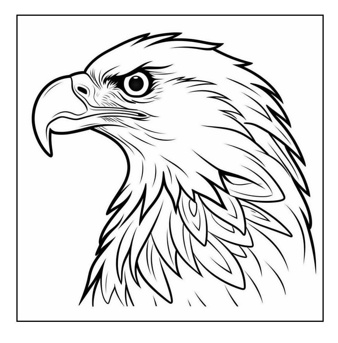 Malvorlage Adler Kopf zum Ausdrucken