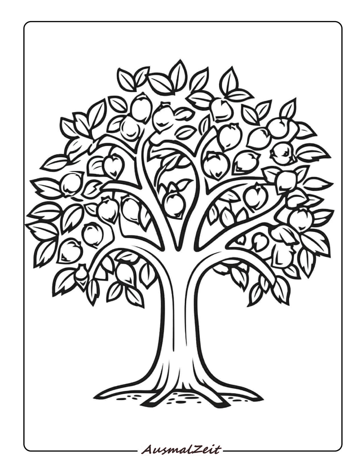 Einfacher und Leichter Apfelbaum Ausmalbild