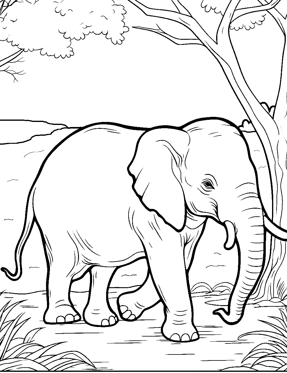 Malvorlagen Elefant Gelassenheit