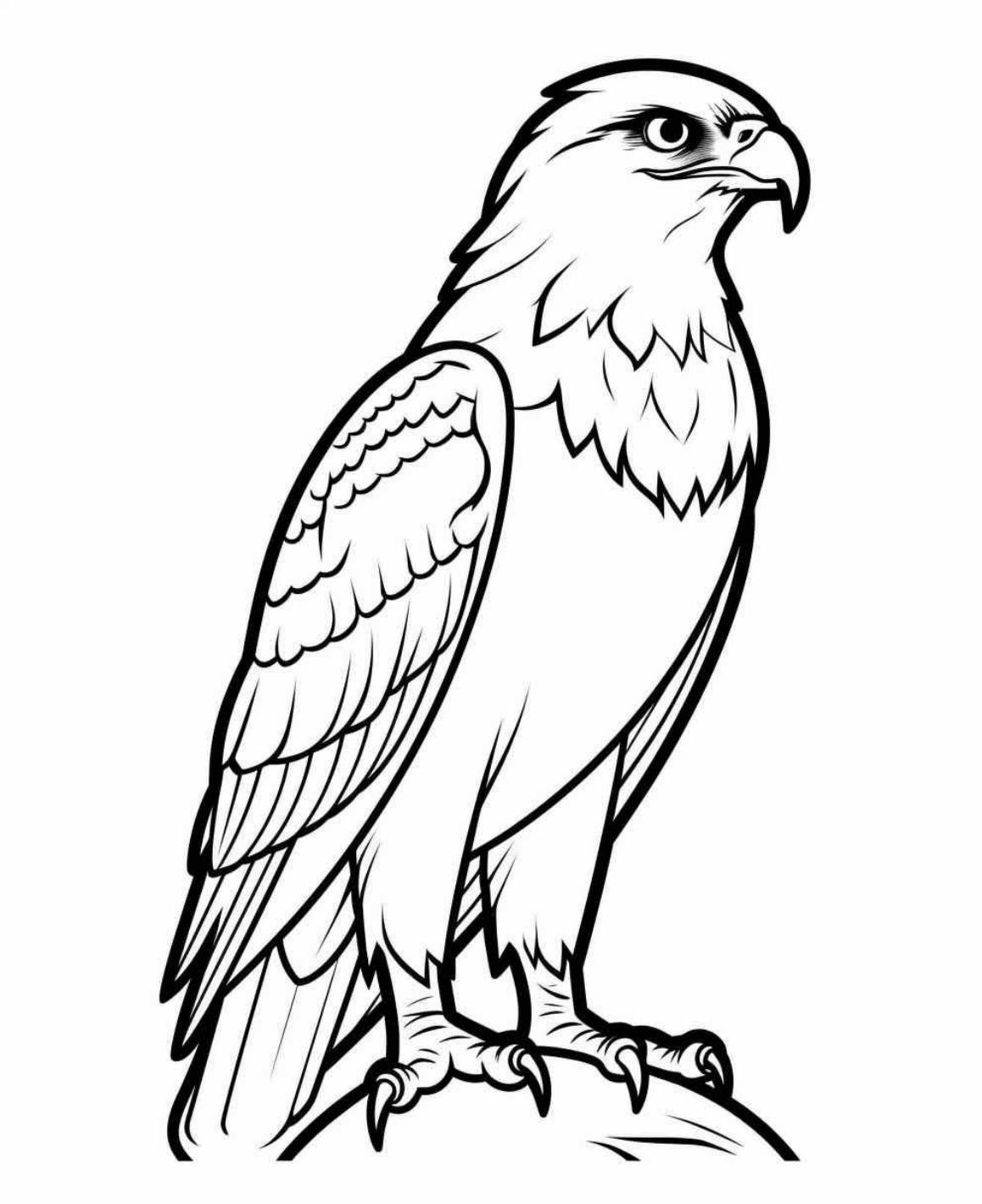 Schöne Adler Ausmalbild zum Ausdrucken