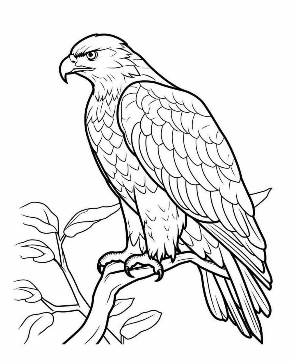 Ausmalbilder Adler - Malvorlagen Kostenlos zum Ausdrucken