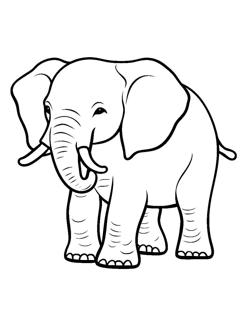 Ausmalbild Elefant Zeichnen für ein Kind