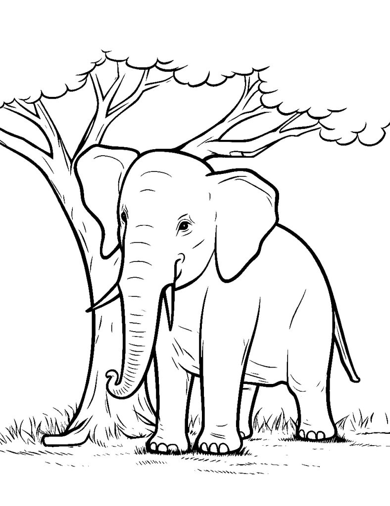 Ausmalbild Elefant in der Nähe eines Baume