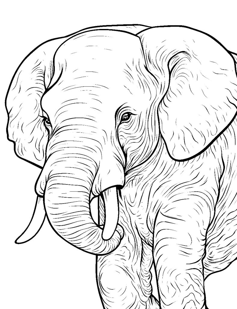 Detaillierte Ausmalbild Elefant für Erwachsene