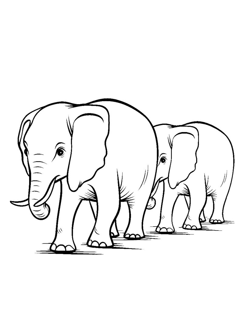 Elefant Ausmalbild im Vorschulalter