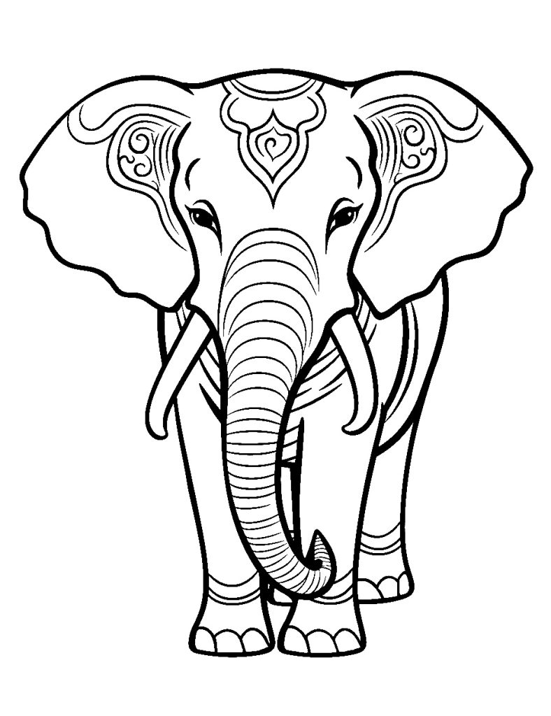 Indischer Elefant für Erwachsene zum Ausdrucken