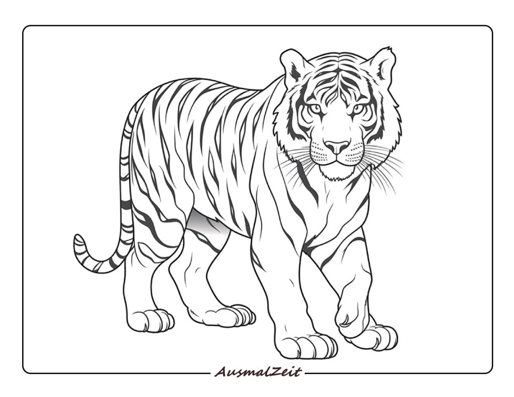 Vorlage Bengal Tiger Malvorlage zum Ausmalen